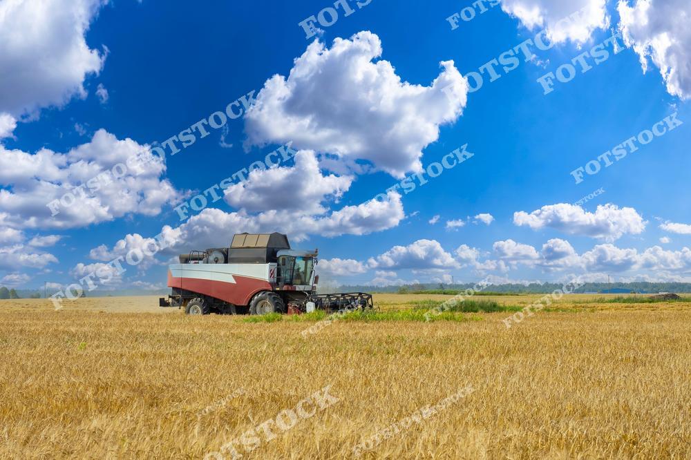 На фотографии изображен комбайн, работающий на поле, готовый к уборке урожая. Яркое небо с облаками и золотое поле создают живописный сельский пейзаж, подчеркивая силу и эффективность сельскохозяйственной техники. Сцена излучает спокойствие и природную красоту, подчёркнутую ярким солнечным светом.